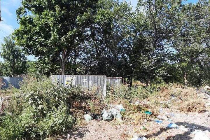 Сотрудники администрации пообещали в течение недели убрать свалку из веток и мусора в поселке Тепличный