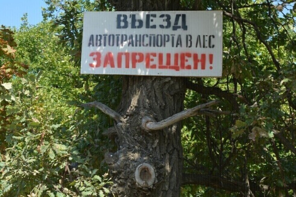 Власти вновь запрещают жителям ходить и ездить в лес