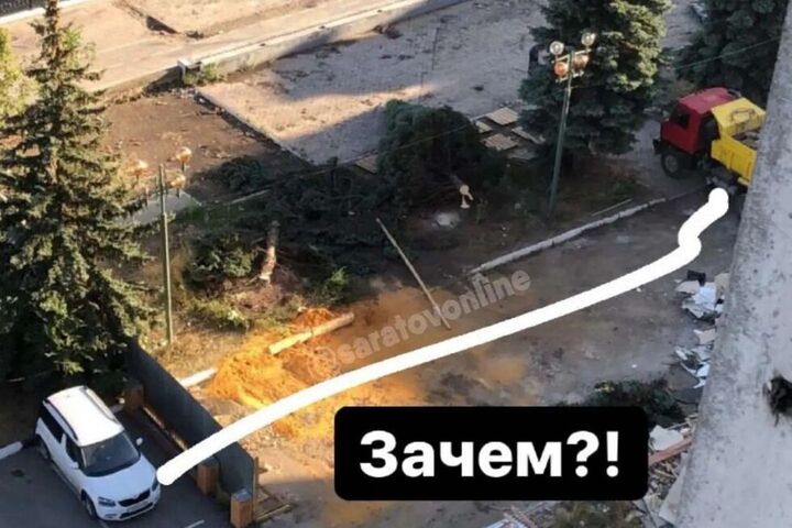 «Зачем рубить эти шикарные деревья?»: горожане возмущаются уничтожению елей на Набережной Космонавтов