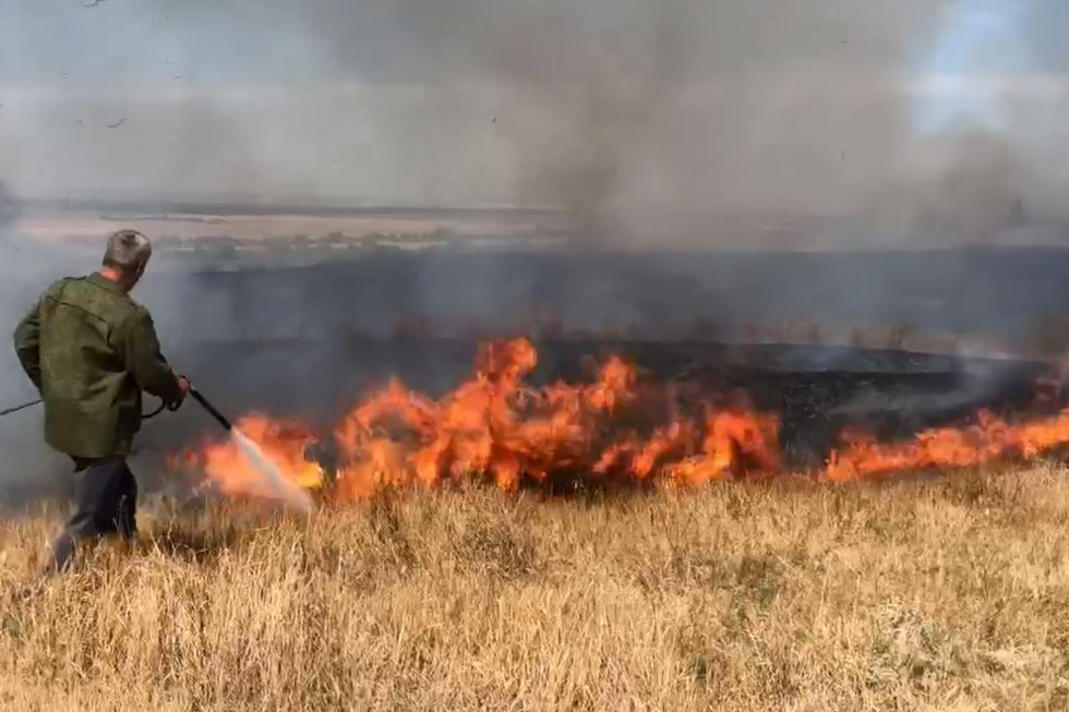 Минприроды: за два дня в регионе по вине людей сгорело 2,3 га леса