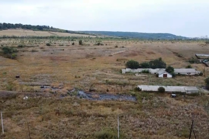 «Здесь тонут животные, отравлена почва и вода»: жители деревни Кокурино жалуются на битумные озера и бездействие чиновников