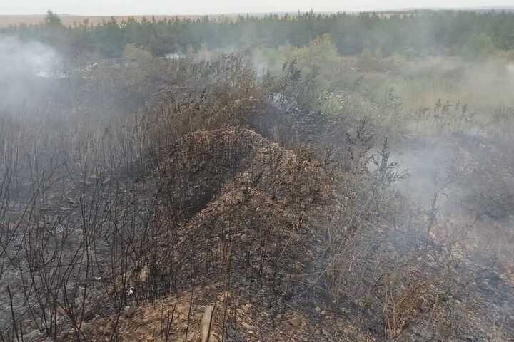 Второй раз с начала месяца горят леса: теперь в Красноармейском районе