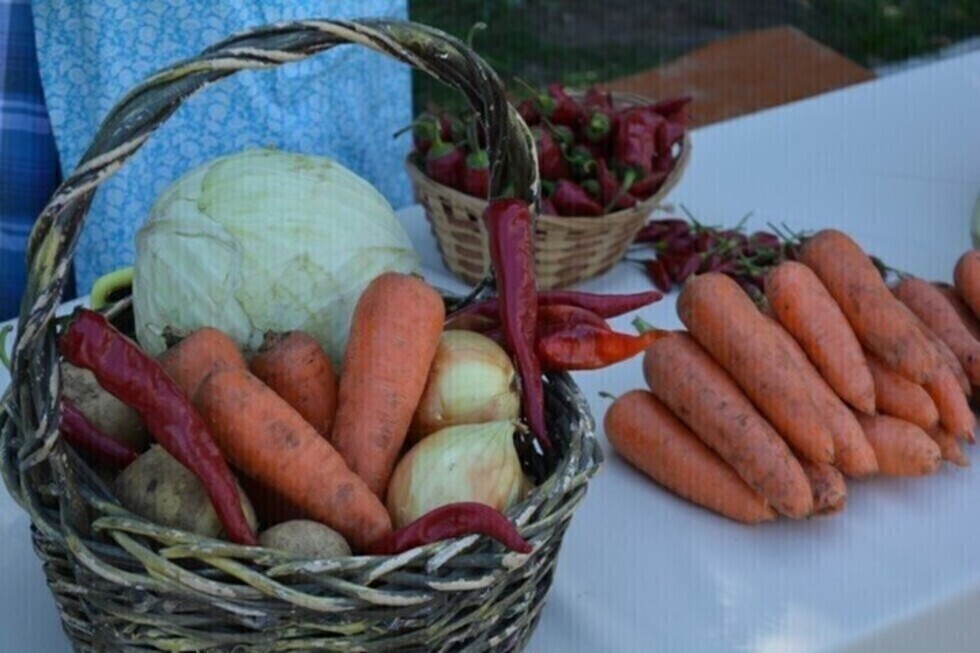 Горожане вновь могут купить овощи, рыбу и мясо на ярмарках «выходного дня»: их адреса и график работы