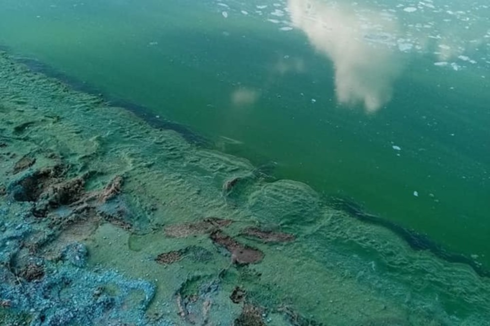 Минприроды РФ: водоемы в Саратовской области «грязные» и «экстремально грязные»