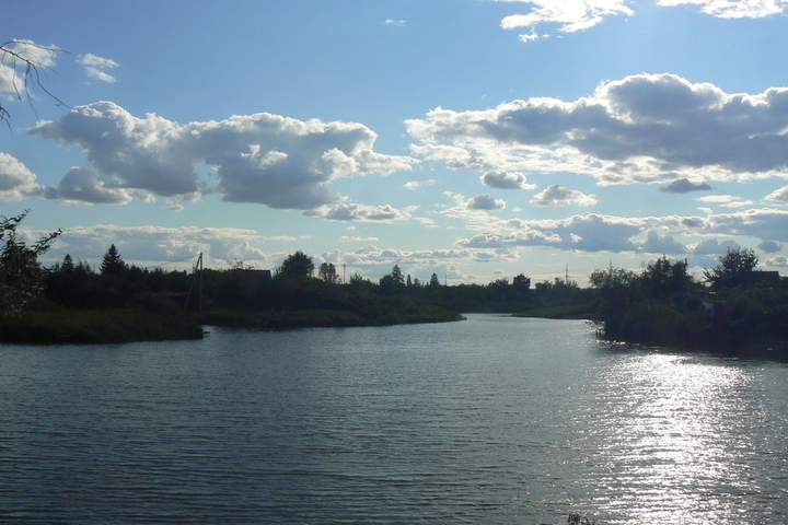 В минприроды назвали причину обмеления прудов в Саратовском районе и пообещали найти и наказать нарушителей водоохранного законодательства