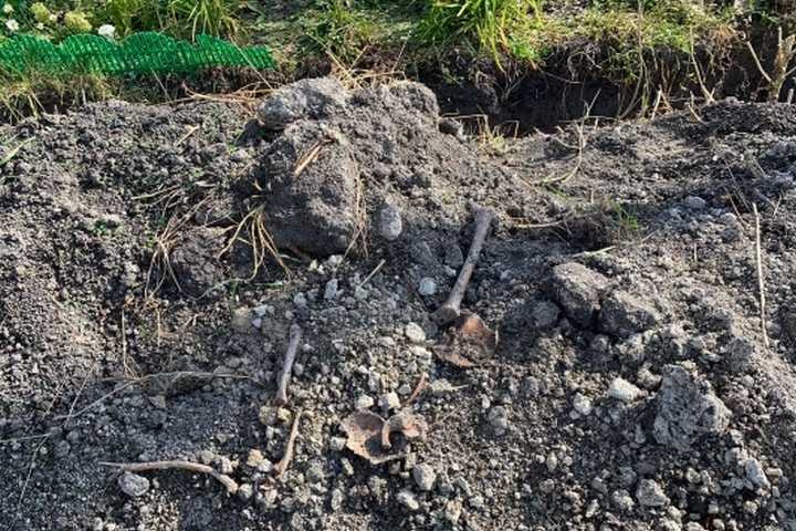 Сельчанин рыл траншею во дворе и нашел человеческие кости и череп