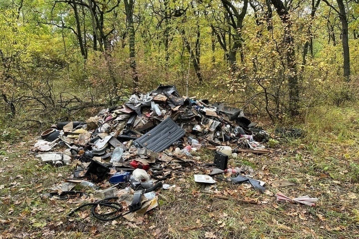 На Кумысной поляне нашли свалку автомобильных отходов, выросшую «за один день»