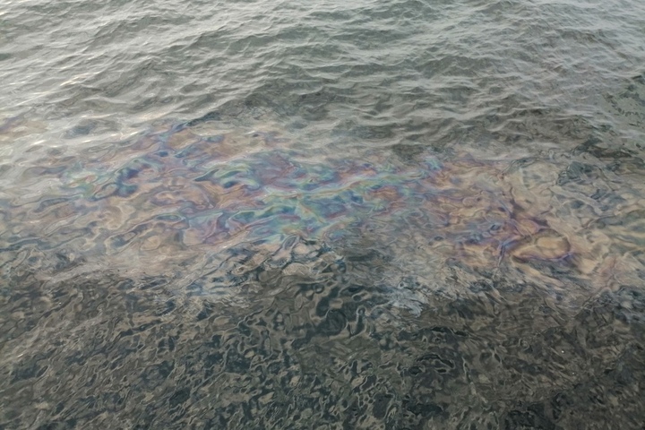Саратовец заметил пятно нефти в Волге рядом с набережной (фото)