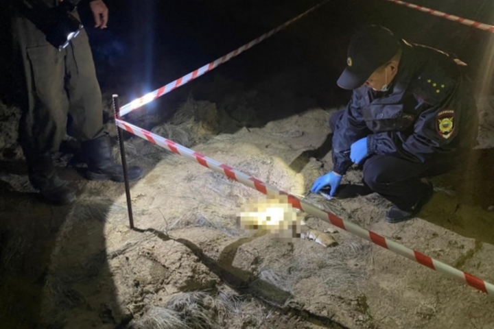 В поле Марксовского района обнаружили костные останки человека