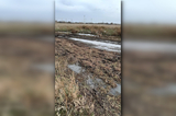 В Пугачевском районе заявили об «экологической проблеме» со сливом нечистот на поля возле села: в местной администрации информацию подтвердили, но отметили, что жалобу написали «недоброжелатели»