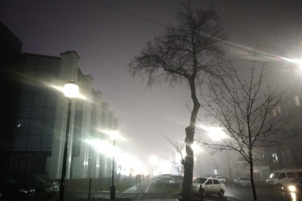 Туман в Саратове продолжит сгущаться: синоптики прогнозируют видимость не более 50 метров