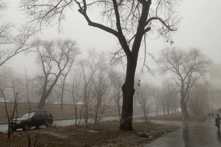 В МЧС предупредили об осадках, тумане, гололёде и сильном ветре в регионе. Объявлен жёлтый уровень опасности