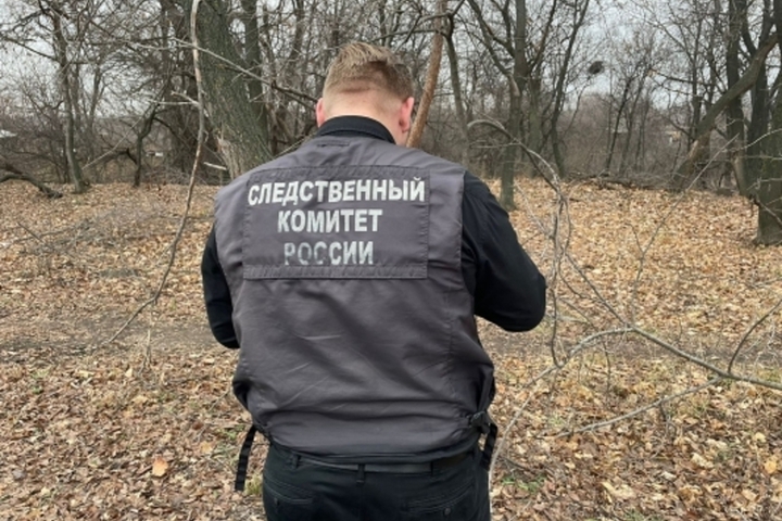 Горожанин гулял по посадкам в Заводском районе и нашёл труп