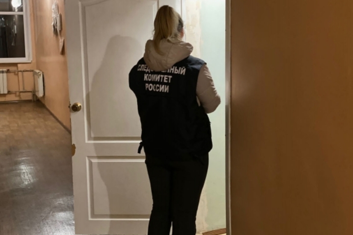В частном доме в Базарно-Карабулакском районе умер 1,5-месячный младенец: идет проверка
