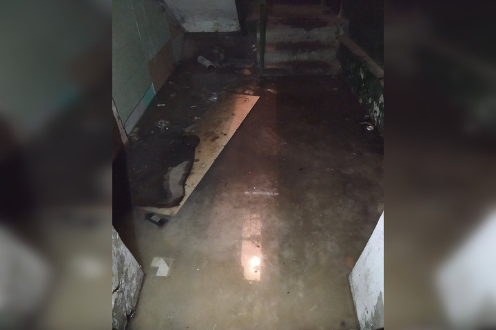 Жители Заводского района пожаловались на «зловонную лужу с нечистотами» около дома на улице Огородной