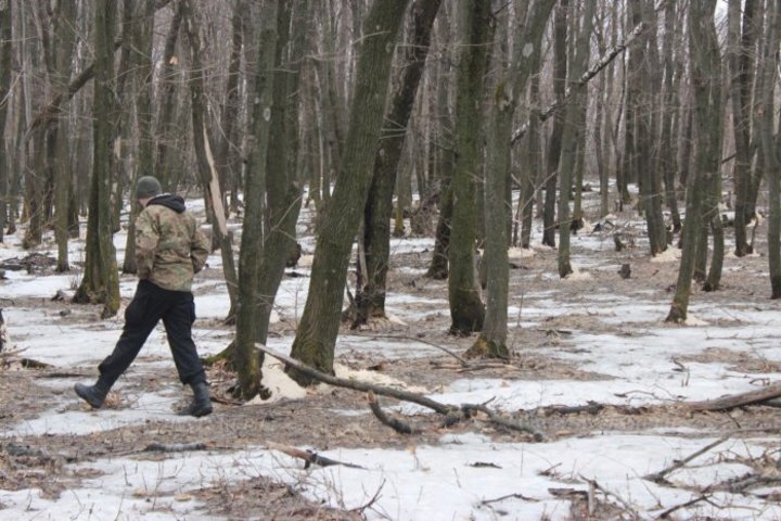 Сотни деревьев возле саратовского лагеря засыпали неизвестным кристаллическим веществом