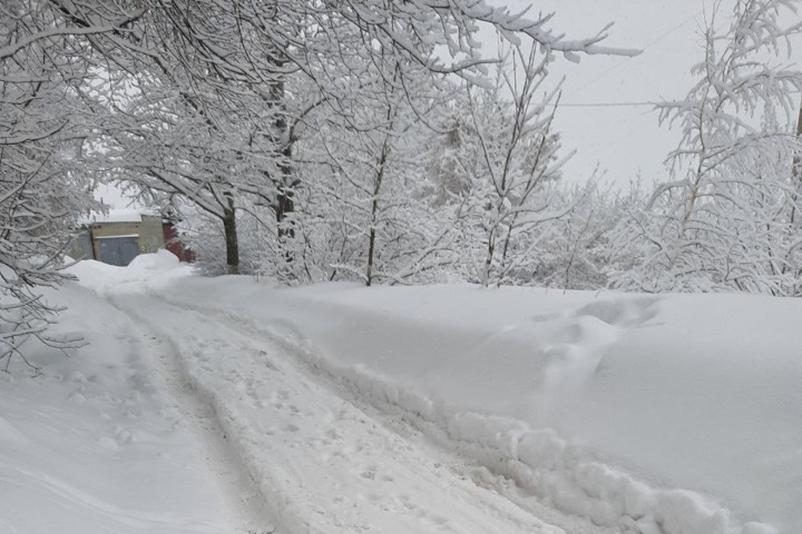 «Сейчас все очищается»: чиновник отчитался, что полигоны для снега заняты на 30 процентов