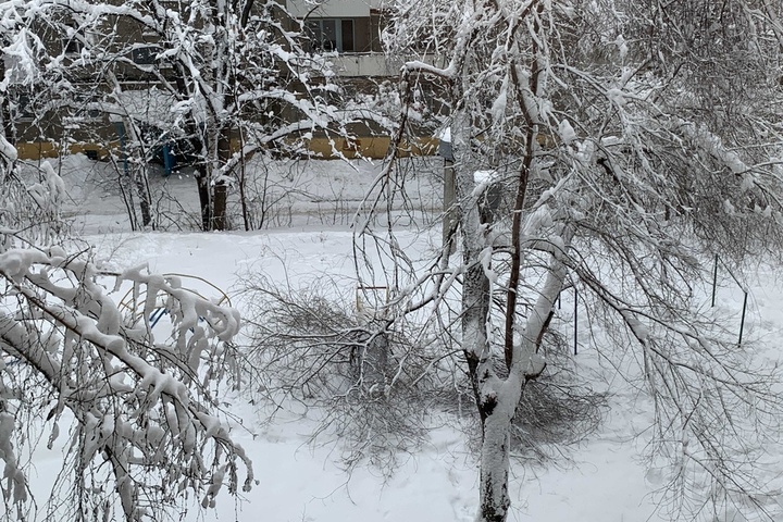 «Того и гляди на тебя упадёт снег, сосулька или ветка с дерева»: саратовцы продолжают страдать от последствий непогоды в регионе
