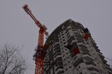 «Кронверк» собирается урезать площадь озеленения при строительстве домов в Ленинском районе, где ранее ему разрешили срубить деревья