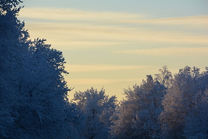 Резкие перепады температуры, снег и мороз до 25 градусов: жителей Саратовской области предупредили о холодной неделе