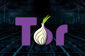 Саратовский суд будет решать, отменить блокировку Tor в России или нет