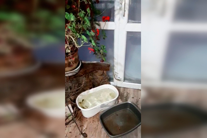 Из-за протекающей крыши жителям дома в центре Саратова приходится менять вёдра и тазики, чтобы не затопить соседей снизу