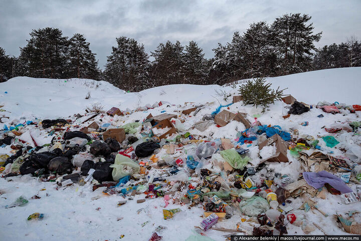 На уборку несанкционированных свалок в одном районе Саратова потратят почти 4,5 миллиона рублей