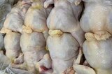 «Потеряли мясное птицеводство»: за год производство птицы в регионе упало еще на 25%