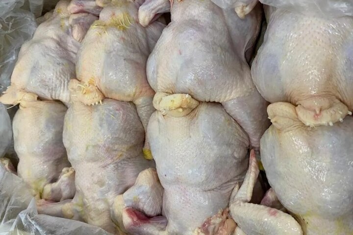 «Потеряли мясное птицеводство»: за год производство птицы в регионе упало еще на 25%