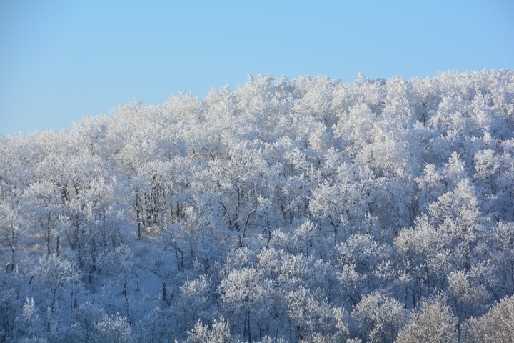 В Саратовской области приостановятся снегопады. Синоптик рассказал, когда осадки могут вернуться