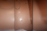 В детском отделении 3-й Советской больницы нашли тараканов (ранее горожане сообщали, что в медучреждении водятся клопы)