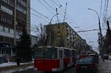 По просьбам СГЭТ и районной администрации на четырех улицах в центре Саратова могут обрезать сотню деревьев