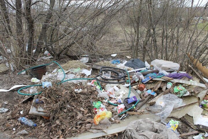 Власти потратят больше 900 тысяч рублей на уборку мусора в одном районе областного центра