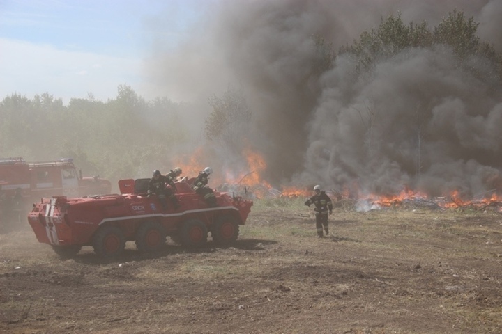 Определена дата начала пожароопасного сезона в лесах Саратовской области