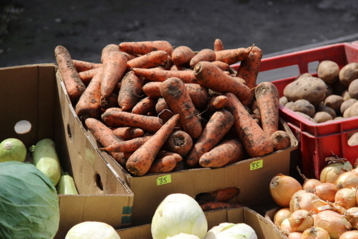 Рост цен на овощи в Саратове: стоимость капусты подскочила до 24 процентов, лука до 19 процентов, свёклы до 17 процентов