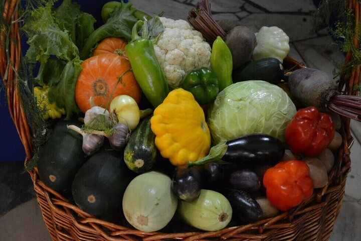 В Саратове до конца апреля организовали 13 новых мест для торговли овощами, чтобы помочь местным производителям