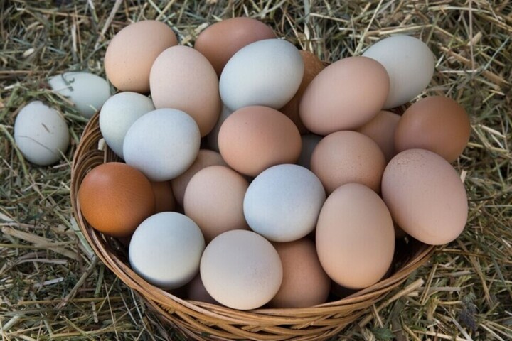 Пасха. Жители и гости Саратова смогут закупиться яйцами к предстоящему празднику