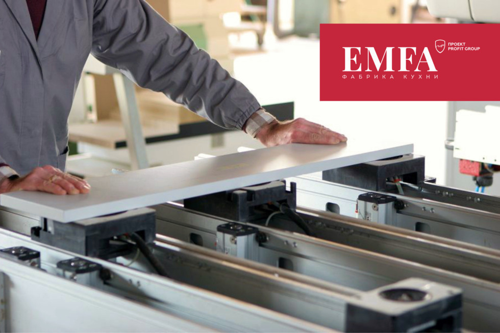 Финансово-промышленная группа «Профит» намерена модернизировать мебельную фабрику EMFA
