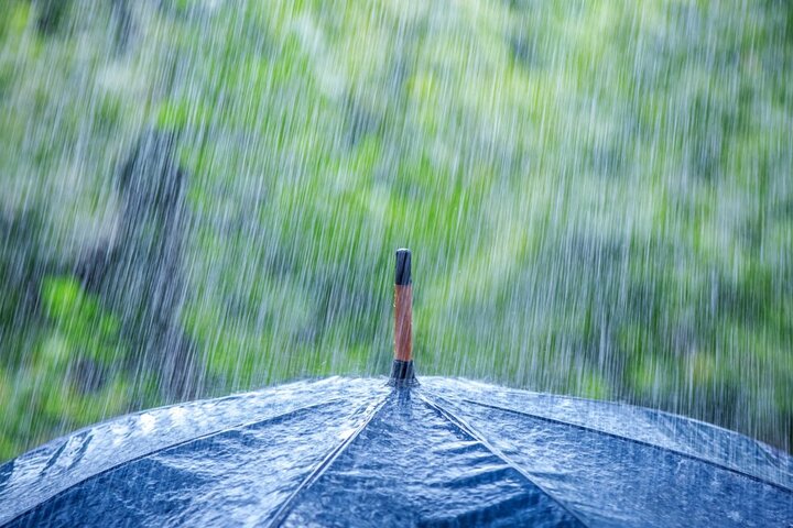 В последний день майских праздников часть Саратовской области накроет дождём