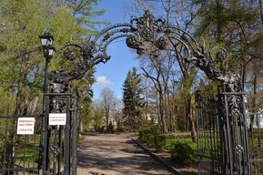 Саратовцы две недели не смогут посещать сад «Липки»: чиновники рассказали о причинах