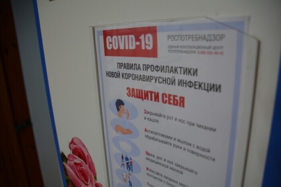 Ещё 84 жителя региона заболели коронавирусом, среди них 33 ребёнка