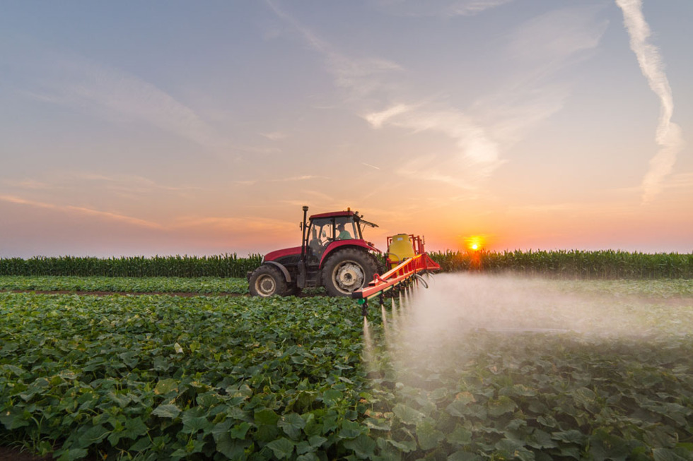 Уланов: «Экологическому сельскому хозяйству требуется поддержка бизнеса»