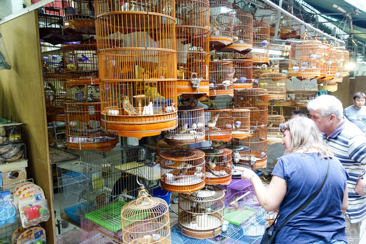Госдума рассматривает закон о запрете торговли животными в зоомагазинах и на птичьих рынках