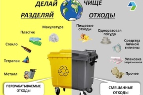 Регоператор: более 500 площадок в Саратове и Энгельсе оборудованы контейнерами для раздельного сбора отходов