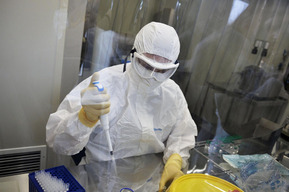 В России обнаружен совершенно новый штамм геморрагической лихорадки