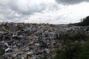 Саратовская область попала в десятку самых «мусорных» регионов страны