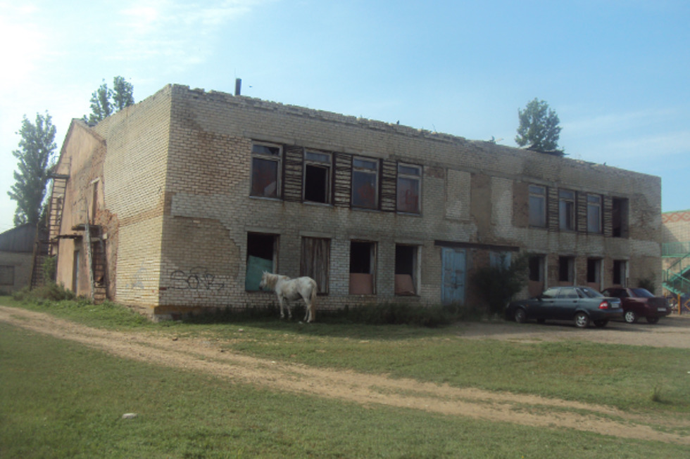 Бывшая зампред областного правительства решила продать по кусочкам культурно-просветительское здание в селе. Лошадь в комплект не входит (кажется)