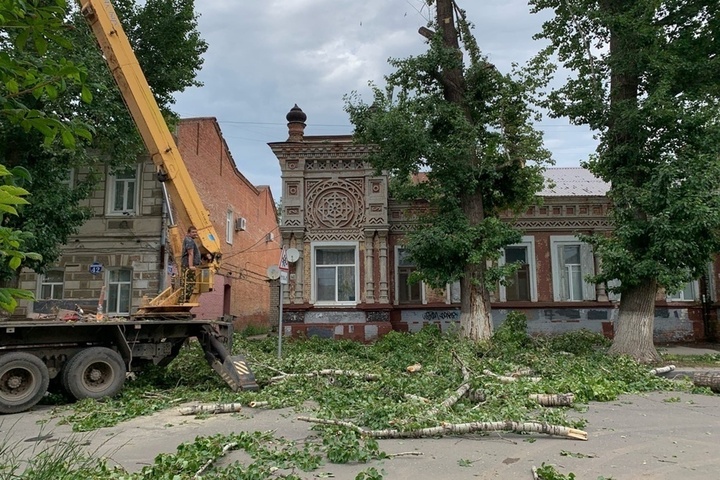 Из-за опиловки деревьев в центре города перекрыли улицу