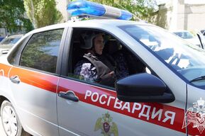 В Балаково задержали пенсионерку, которая пьяная села за руль хэтчбека и врезалась в магазин