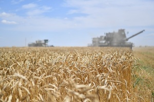 В Саратовской области за 4 дня собрали ещё миллион тонн зерна и начали отгружать его в другие регионы